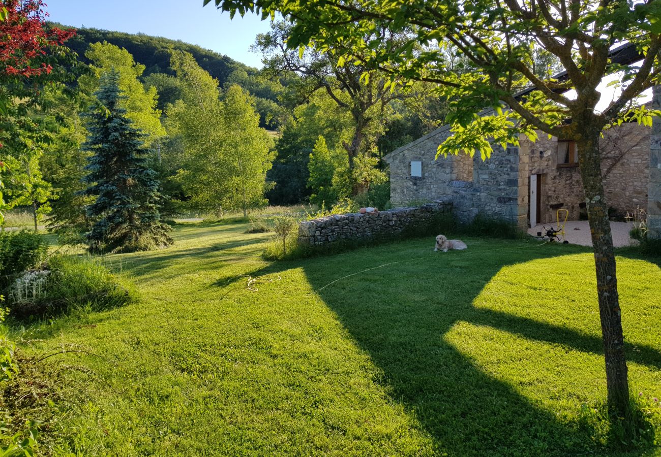 Jardin