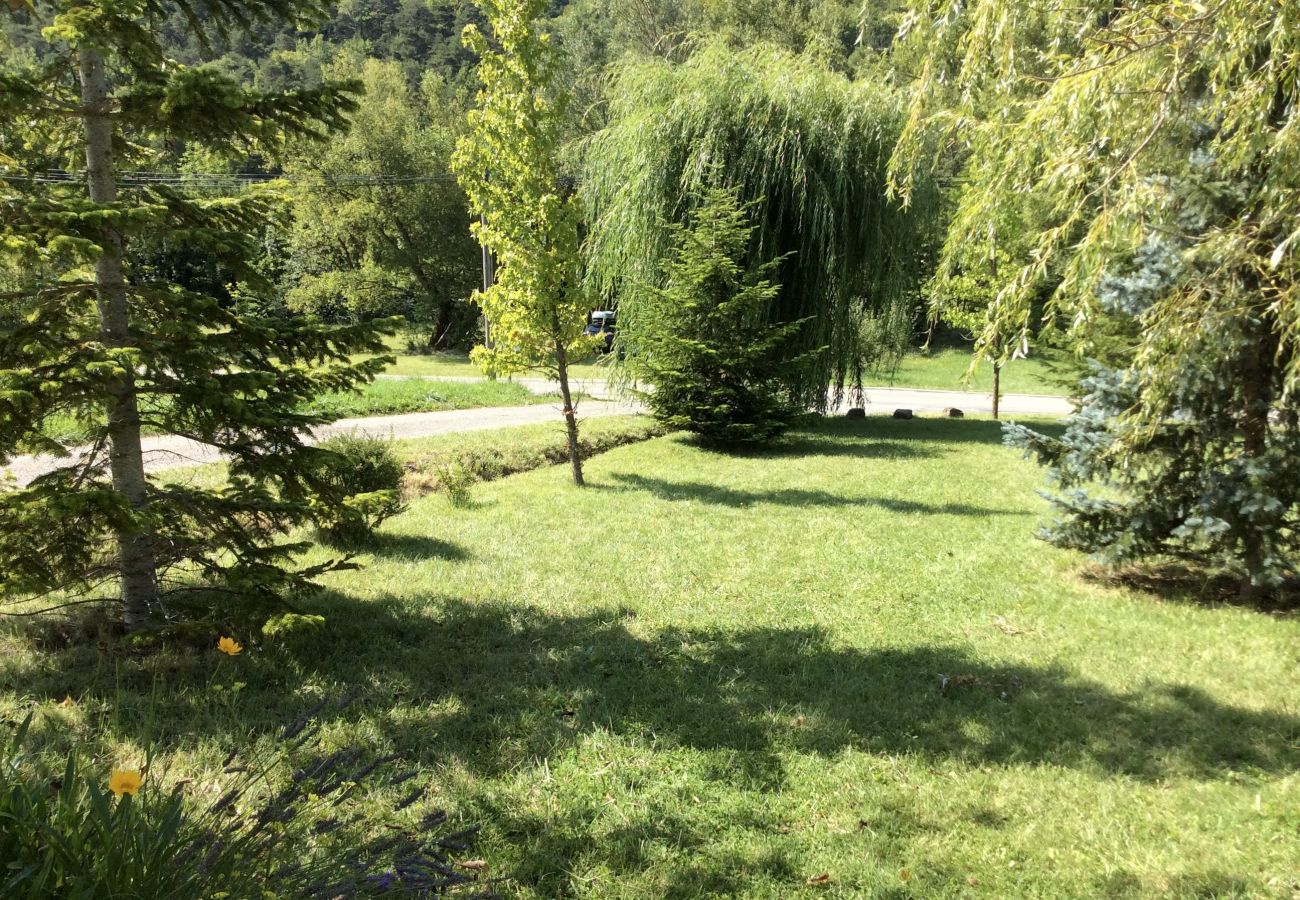 chemin privé bordé d’arbres et pelouse verdoyante